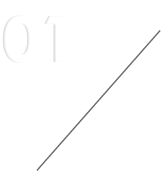 Merit 1