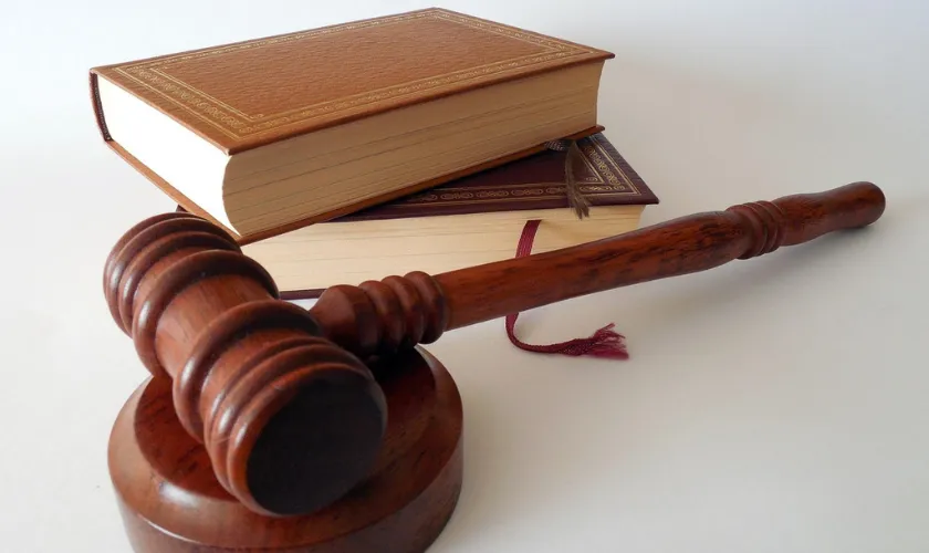 法律書と木製のハンマーの画像
挿入ページ